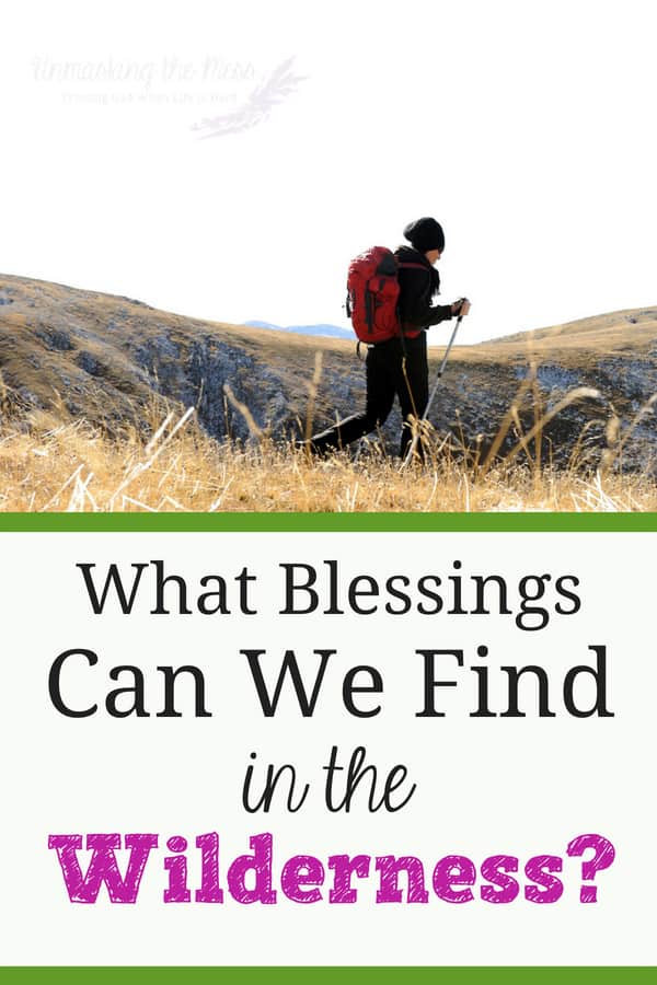 Wilderness Blessings. God has some blessings in store for us. We will never receive them until we get out of our comfort zone. If we break free, its the start of something new! #blessingsfromGod #life #thankful #beyondmeasure